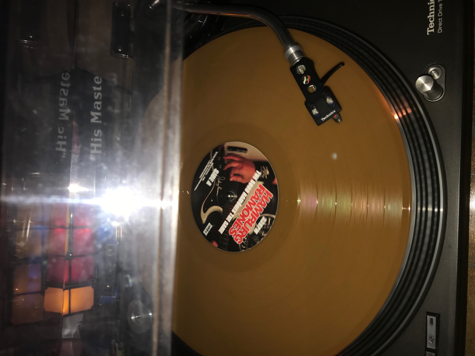 Hamburg Ramones Vinyl Bild 2