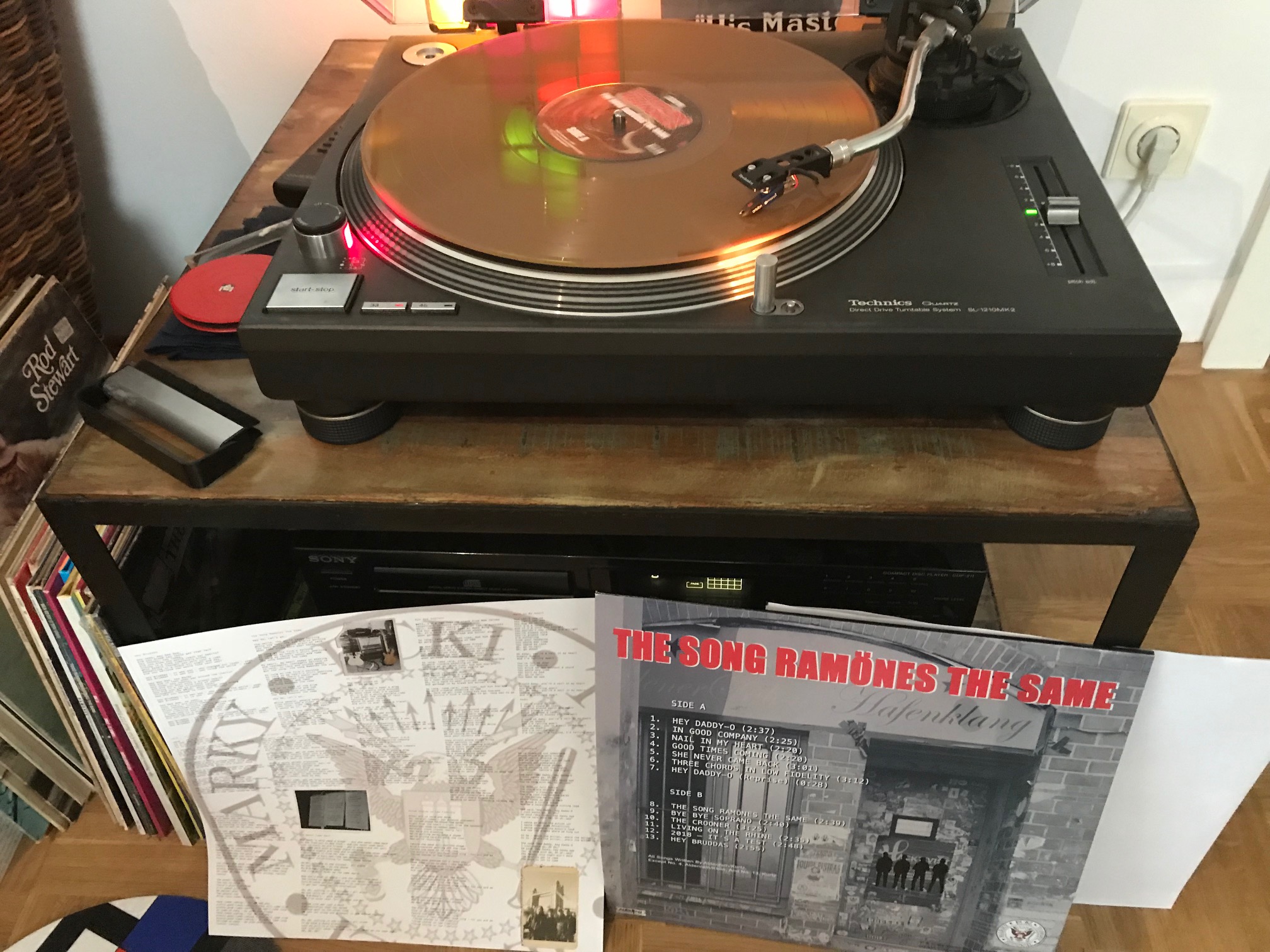 Hamburg Ramones Vinyl Bild 4